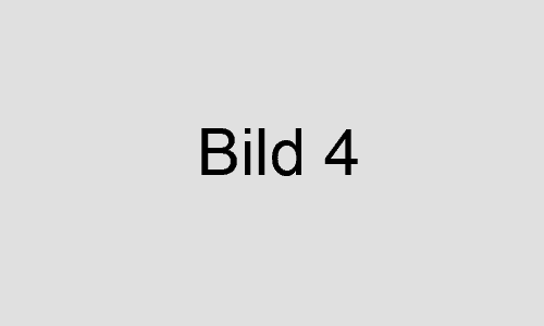 tl_files/sahle/galerie_Neubau/0_bild_4.gif